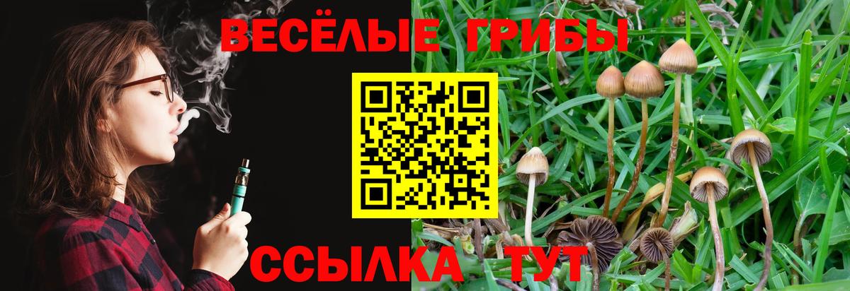 Галлюциногенные грибы прущие грибы Лангепас